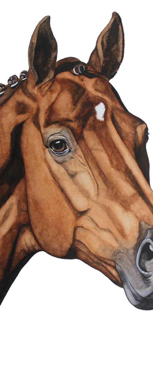 Vivaldi - Dressage horse KWPN stallion by Dominique Laurine