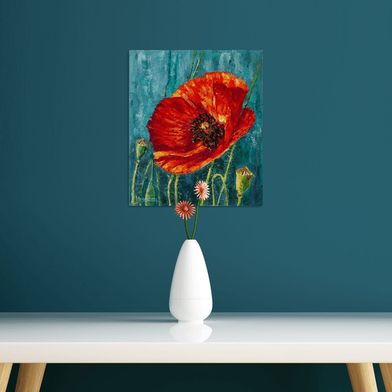 Red poppy