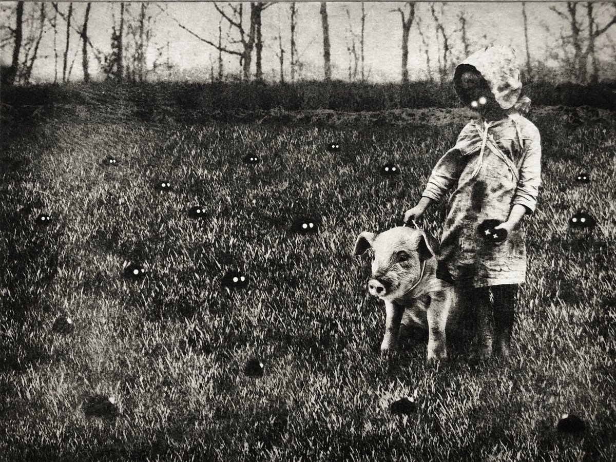 Surrealistic Animal Etchings & Engravings By Jaco Putker, 13 X 10, Exterior 36: Tending The Lawn, Original Artwork