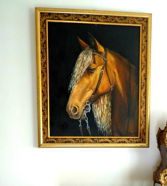 Horse - portrait -oil painting -decor art