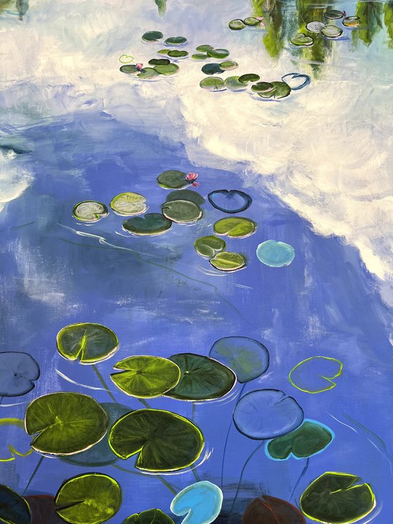 Waterlilies Pond 1