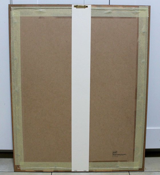 Winter in Volksgarten Park