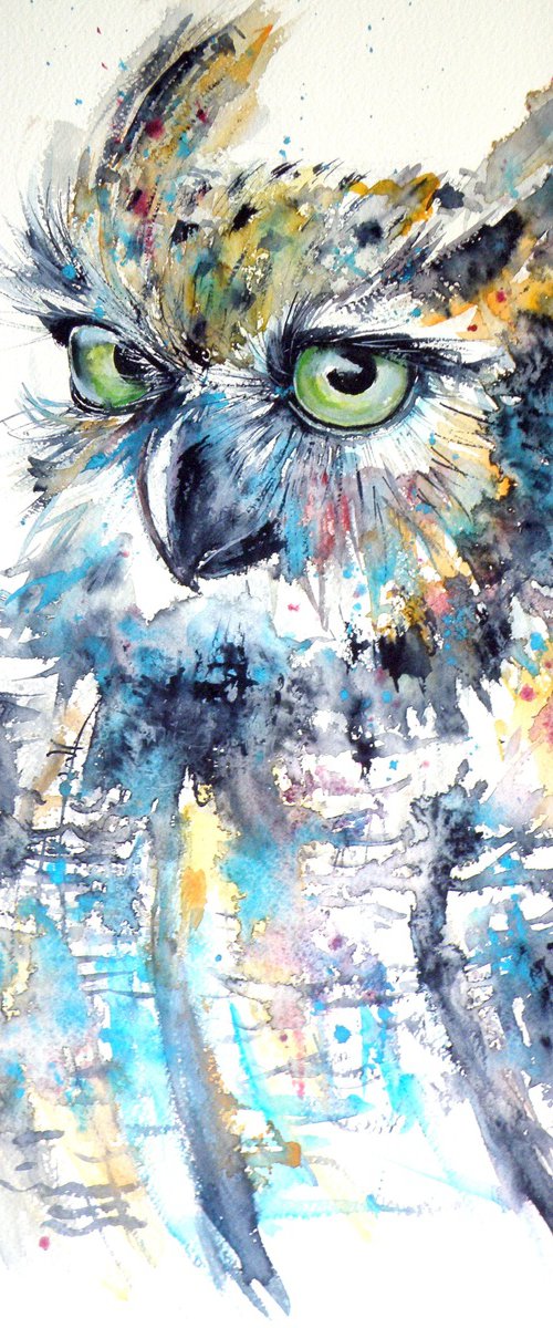 Cute owl by Kovács Anna Brigitta