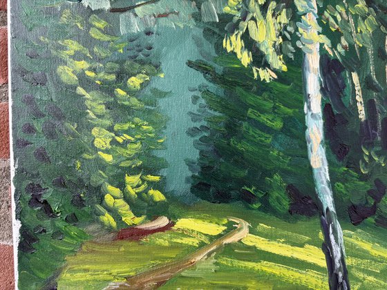 Evening Light on the Birch Tree