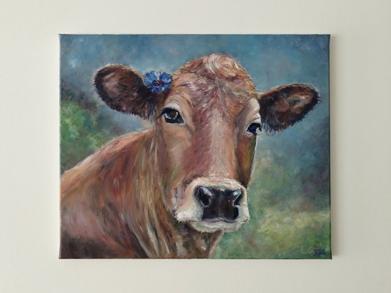 A Cow With A Cornflower Behind Its Ear