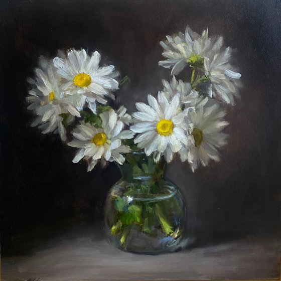 Daises. Floral Still Life