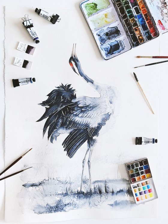 Common crane,  birds, wildlife watercolours
