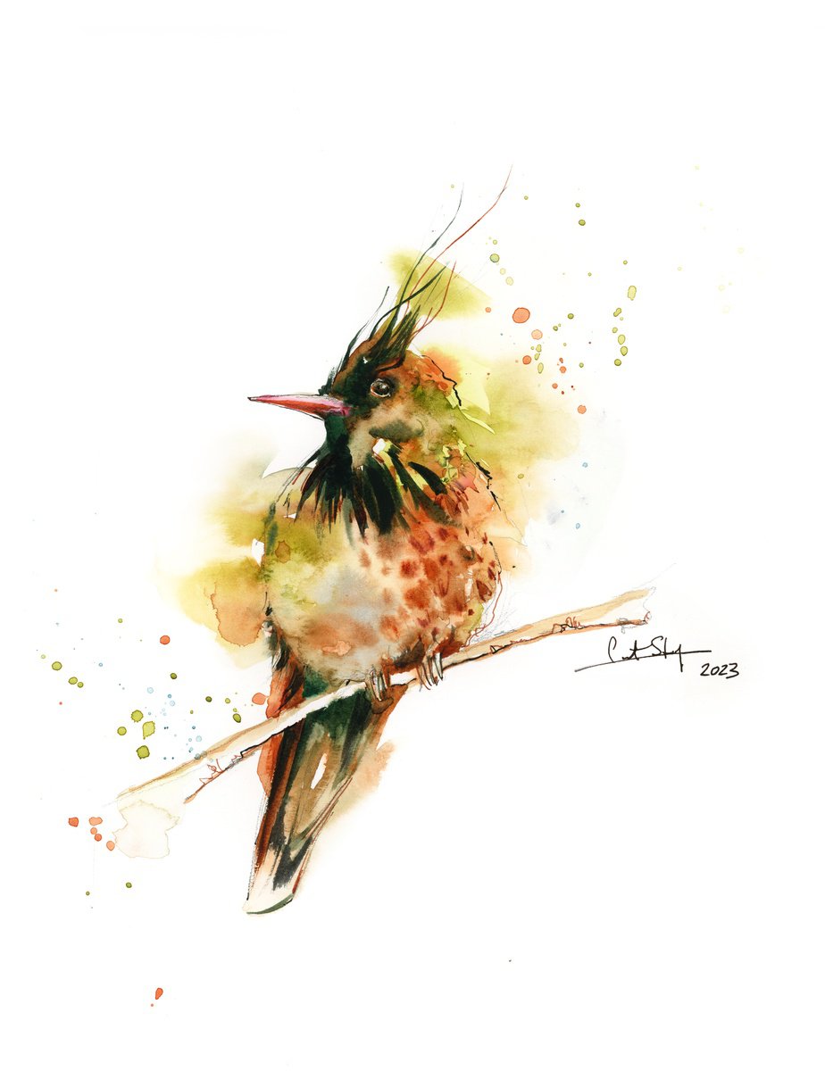 Hummingbird Bird Watercolor Painting by Sophie Rodionov