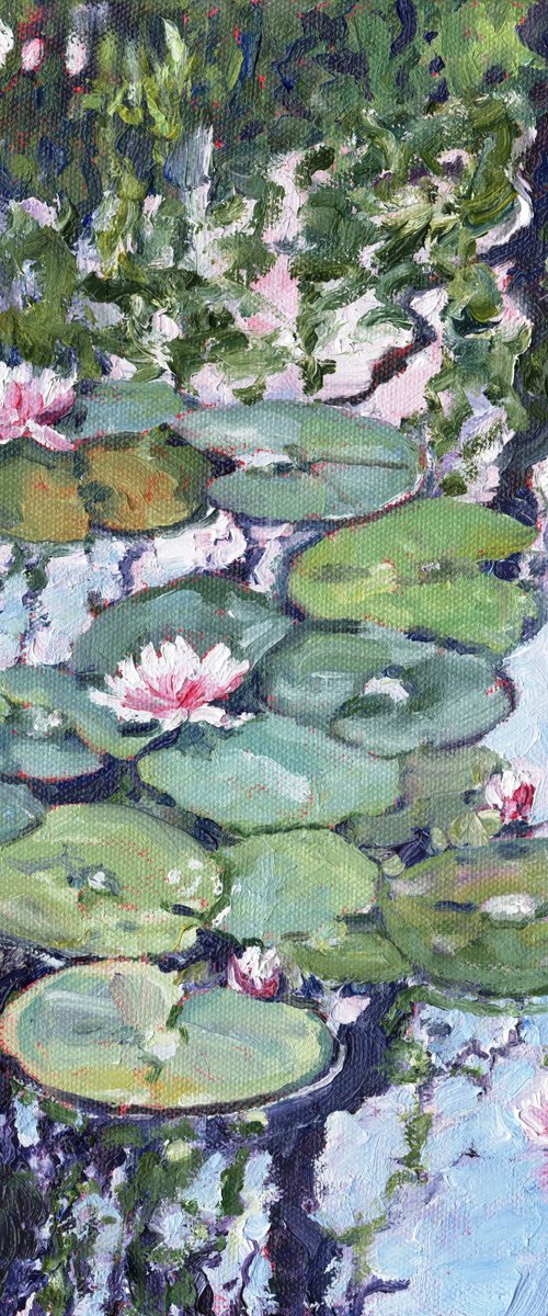 Reflections and Water Lilies by Zoe Elizabeth Norman