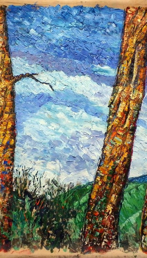 Pine trees against a blue sky by Richard Meyer