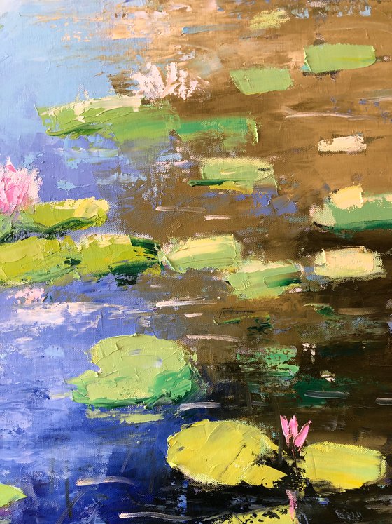 Waterlily
