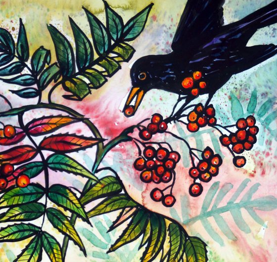 Rowan Berries and Blackbird