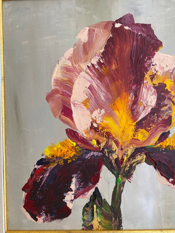 Iris in maroon original painting on canvas acrylic flowers