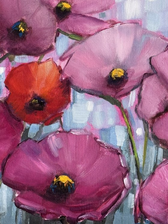 Poppies All Over 1