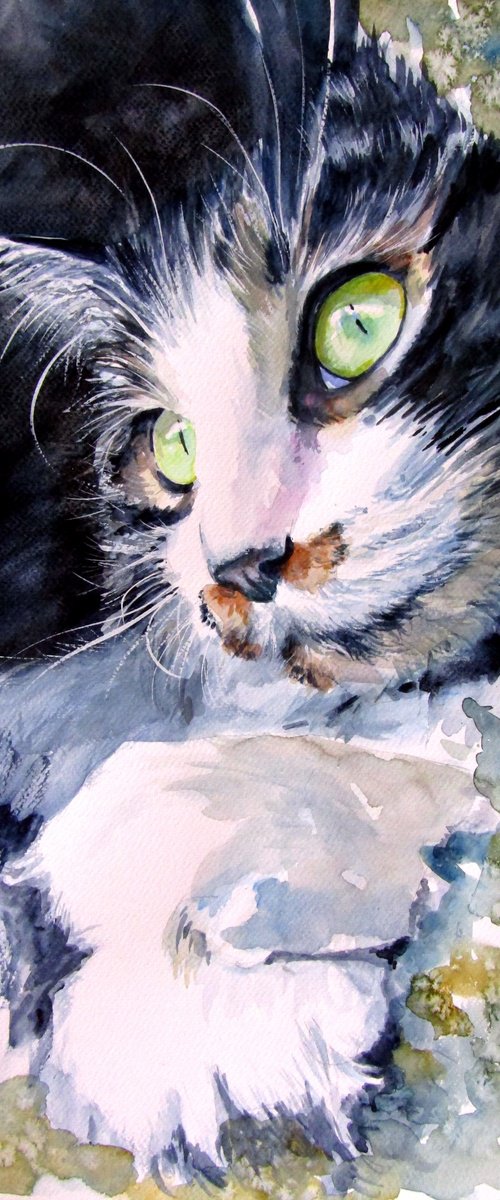 Resting cat by Kovács Anna Brigitta