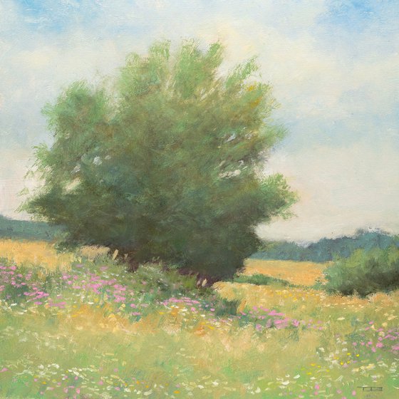 Spring Flowers 250616