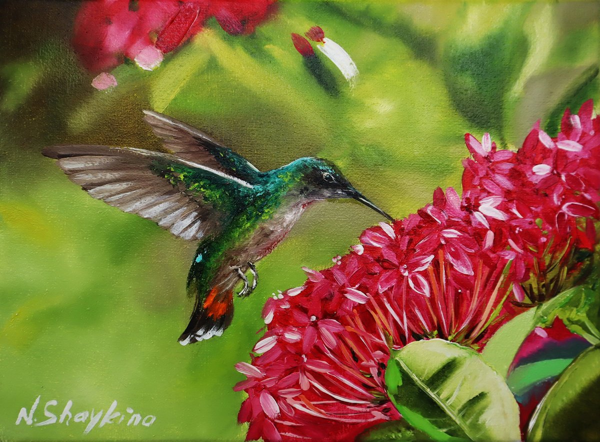 Impressionistic Animal Oil Painting By Natalia Shaykina, 9 X 7", Hummingbird, Original Artwork