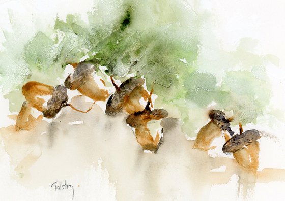 Acorns on the Tree