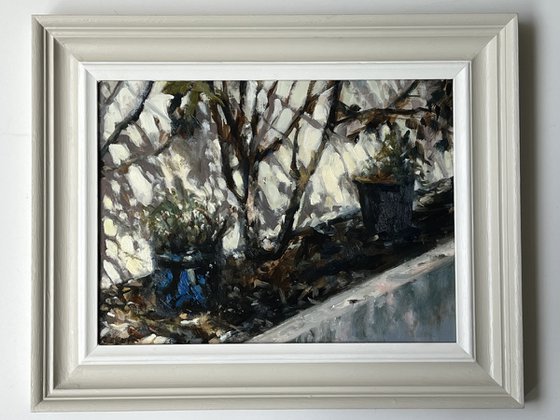 Garden Pot, Strong Sunlight