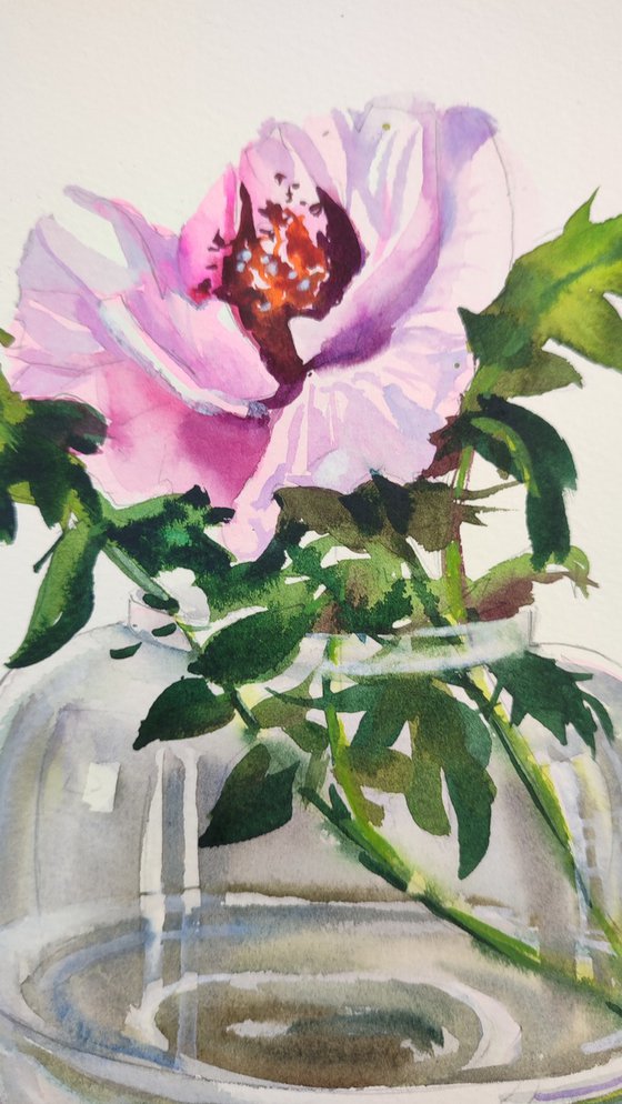 Pink Flower