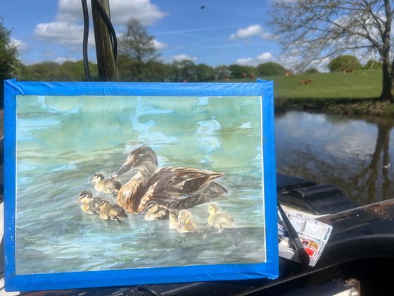 Ducklings Day Out