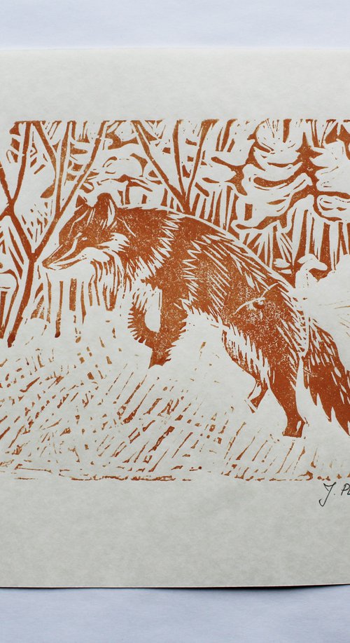 Red fox by Joanna Plenzler