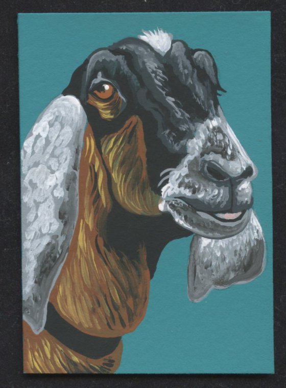 ACEO ATC Original Miniature Painting Nubian Goat Farmyard Art-Carla Smale