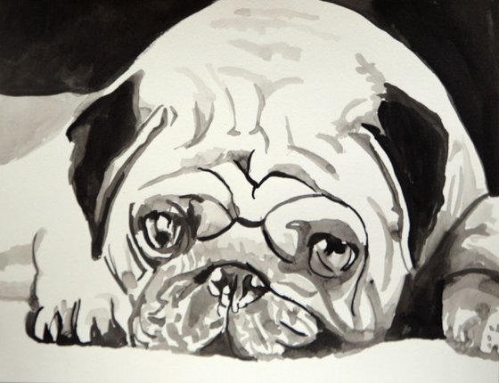 Pug