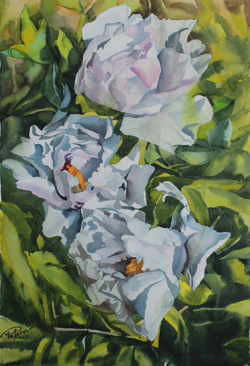 Impressionistic Botanical Watercolour By Yurii Pashkov, 15 X 22", White Peonies #9, Original Artwork