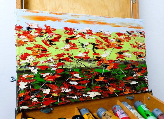 A Meadow Full Of Poppies 1