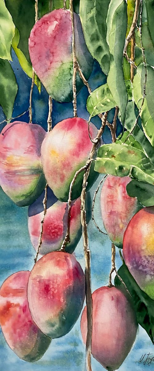 Mango, original watercolour painting by Natalia Butenko