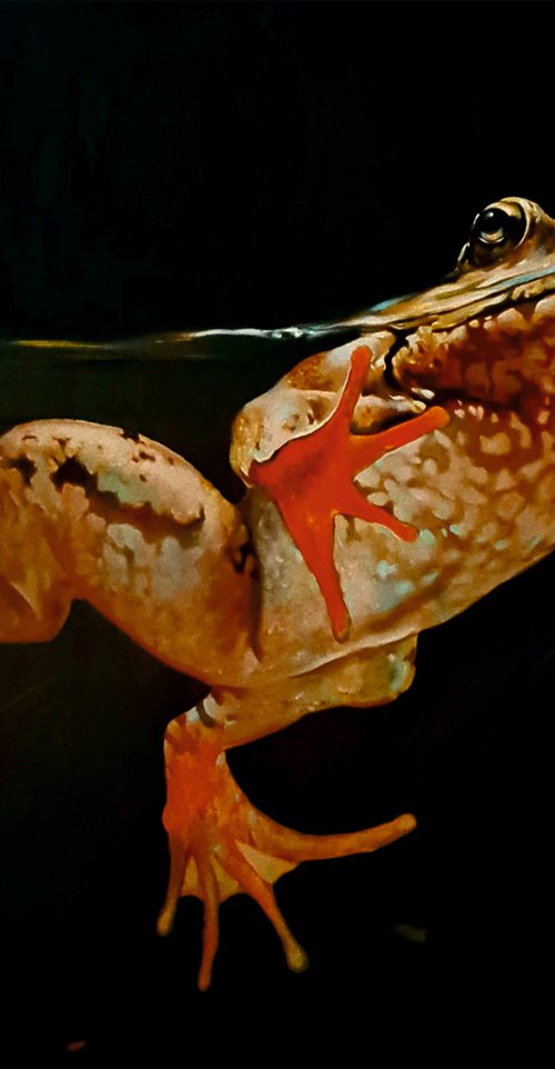 ,,FROG,, by VADIM KOVALEV