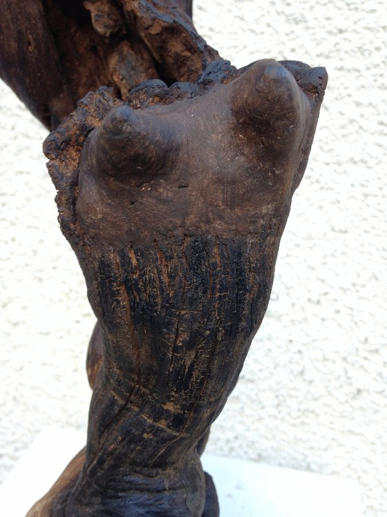 NAOMI, Ostreïdes séries