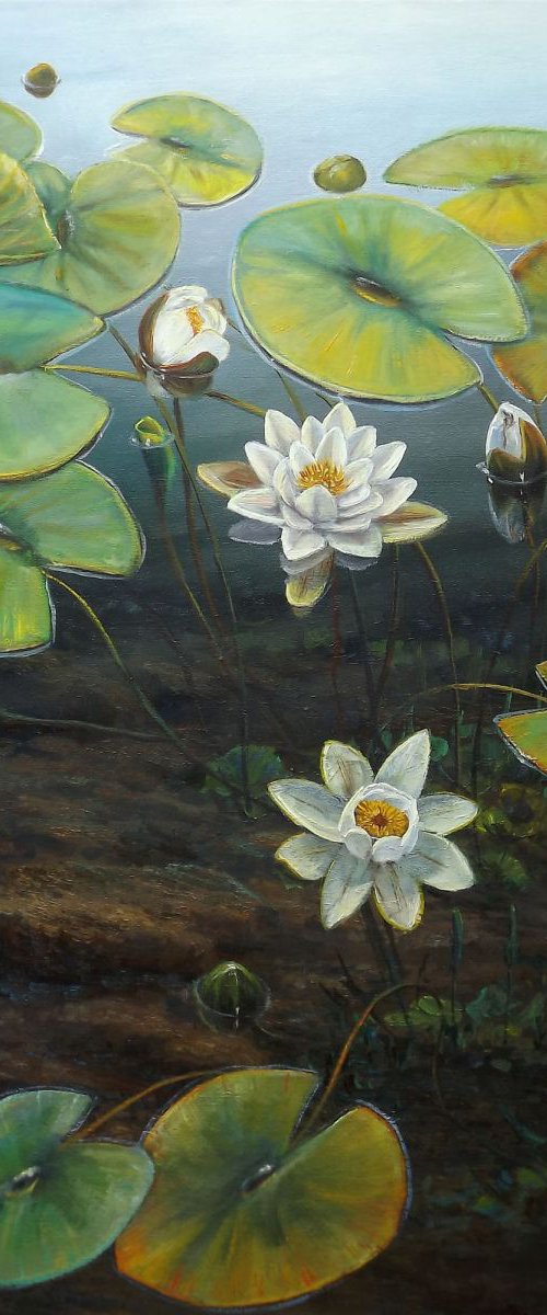 Water Lilies by Oleg Riabchuk