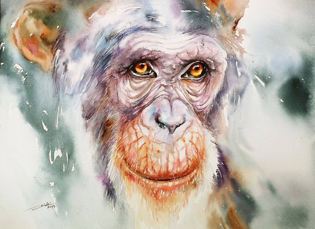 Rebus the Chimpanzee by Arti Chauhan
