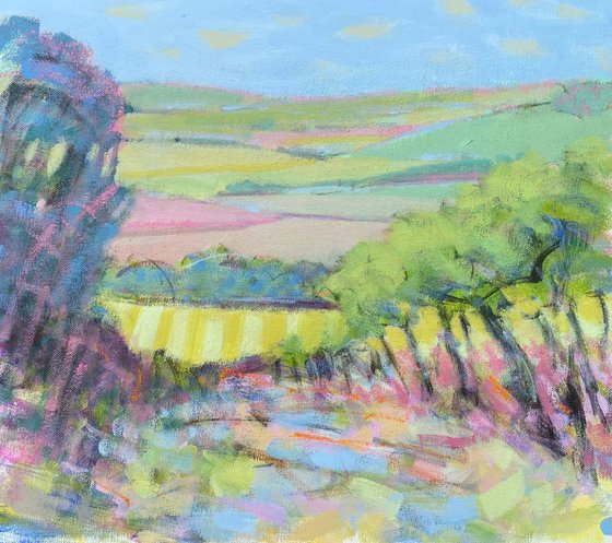 Vineyard Vista