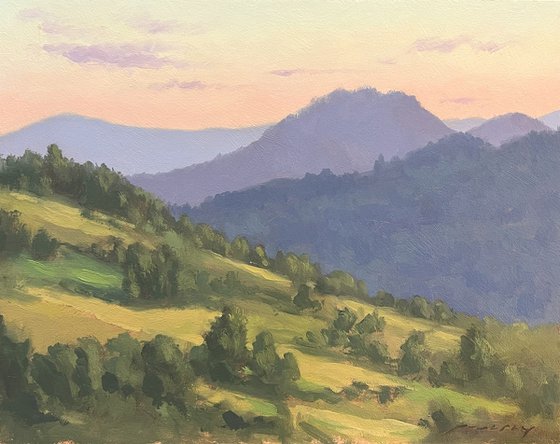 Up Before the Sun