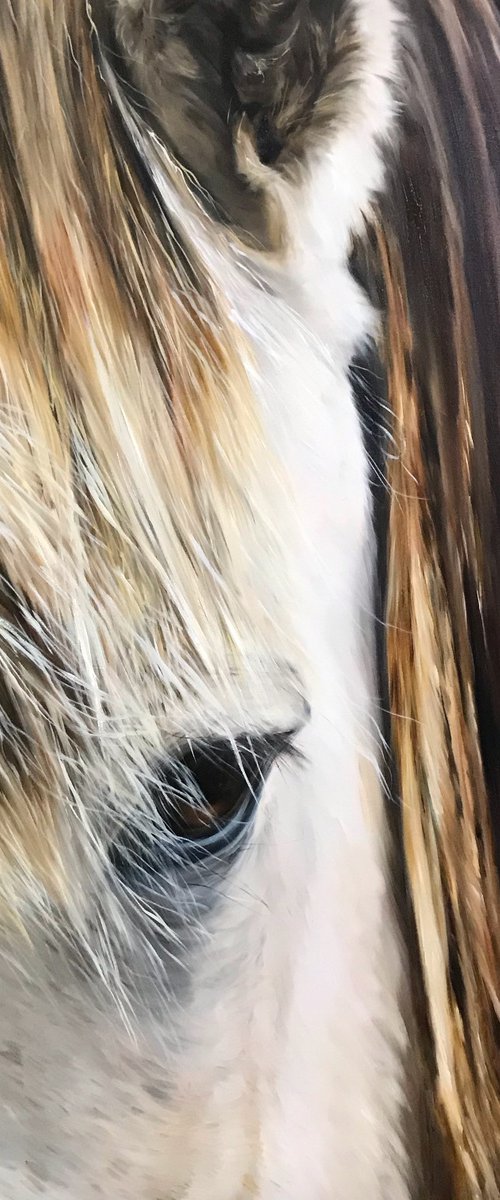 Square oil painting with horse face realism 80 * 80 cm by Irina Ivlieva