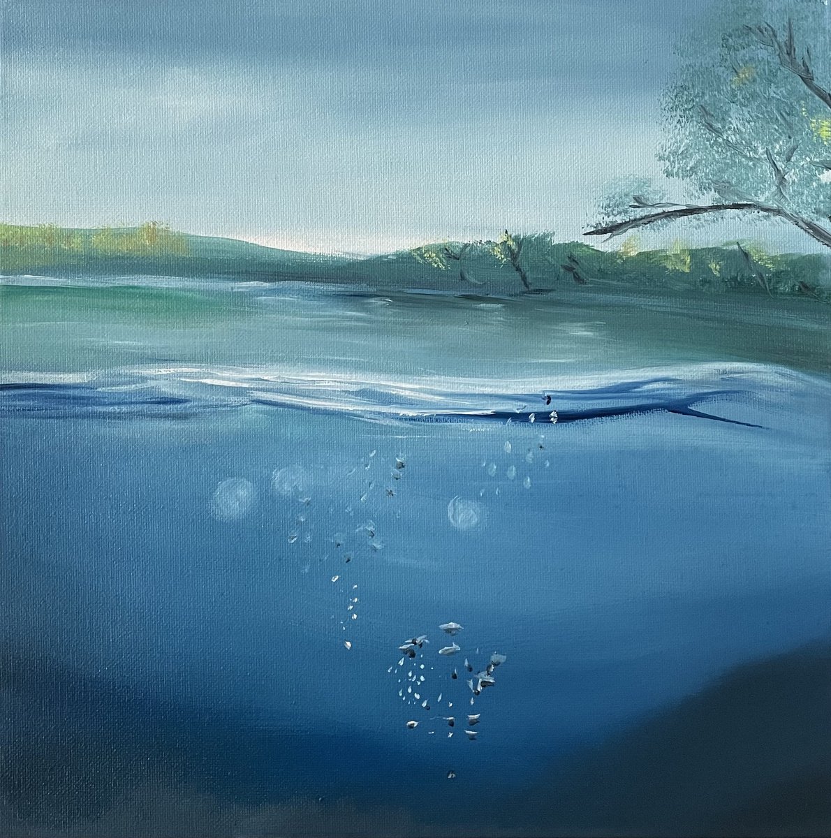 Country Lake - underwater view with trees and sky by Alanah Jarvis