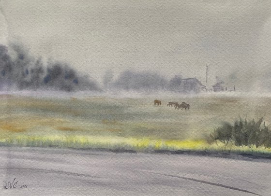 Foggy Morning