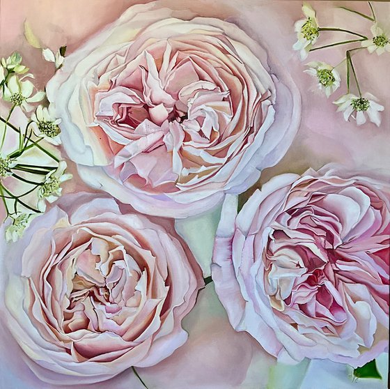Soft Pink Roses