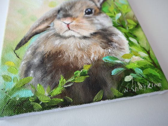 Cute Bunny Painting