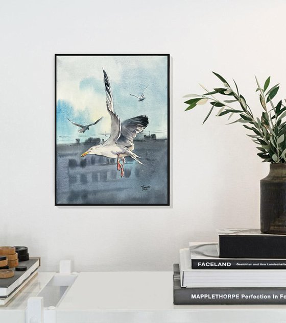 Urban seagulls. City seagulls.