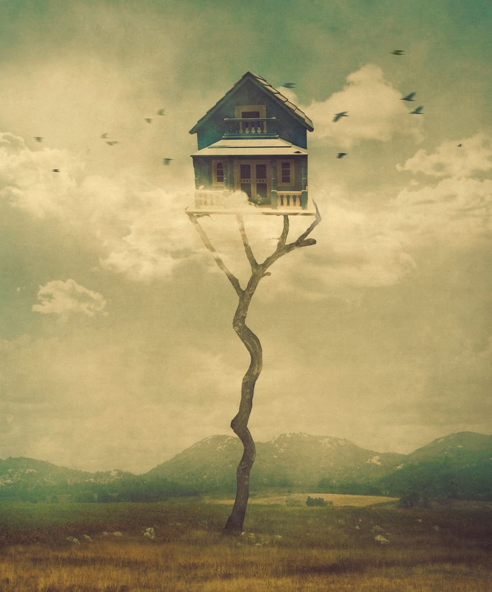 Surrealistic Animal Photograph By Nikolina Petolas, 31 X 37", Bird House - Edition Of 5, Original Artwork