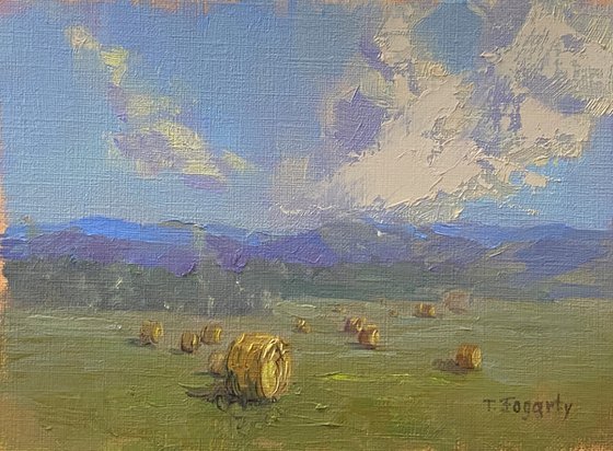 Hay Bales And Clouds Oil Sketch