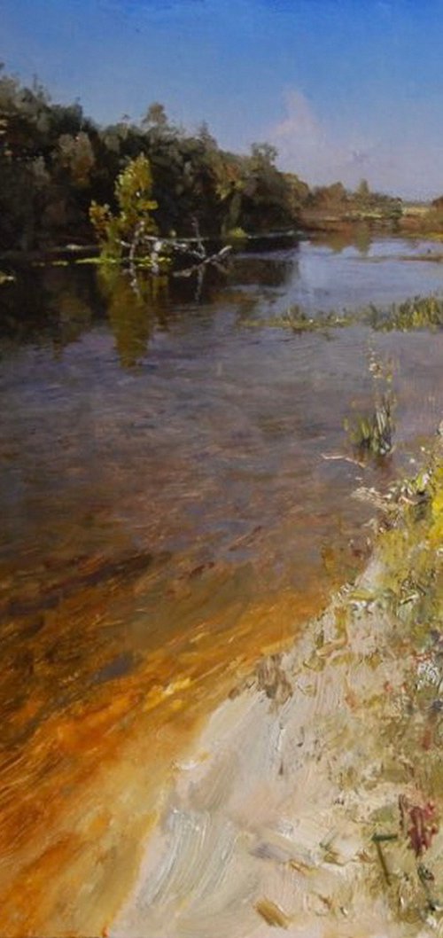 Sunny day by Denys Gorodnychyi