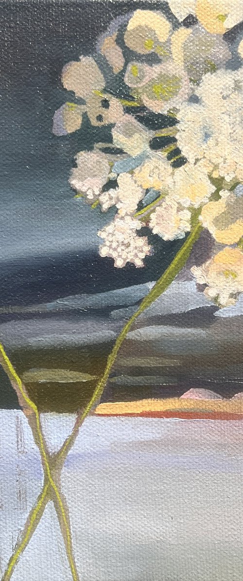 Queen Ann’s Lace at the Lake 2 by Anna Bergin