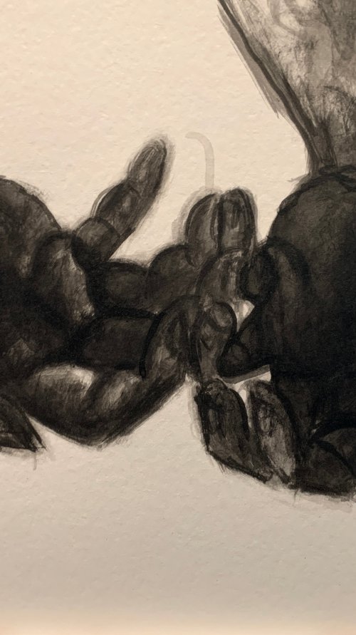 Study Of Hands by Ryan  Louder