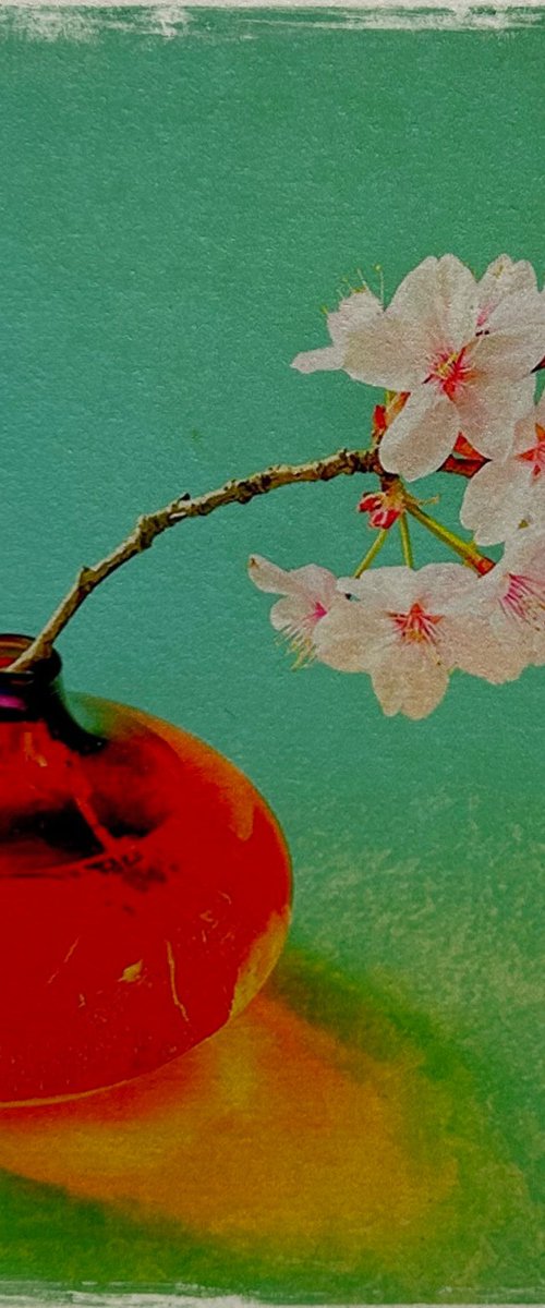 JAPANESE CHERRY BLOSSOM by SARAH PARSONS