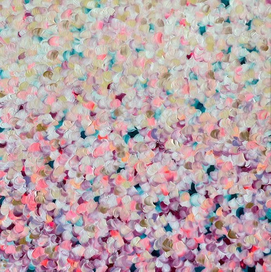 Cherry Blossoms